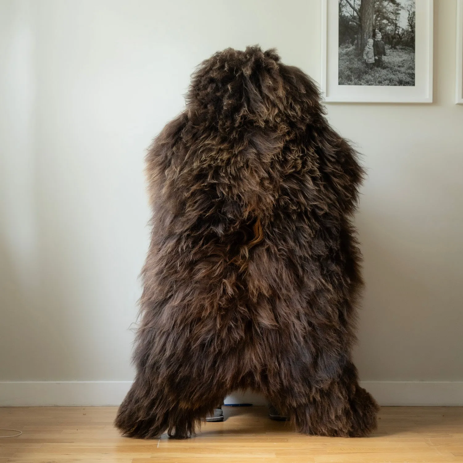 Icelandic sheepskin rug XL - dark brown, 51