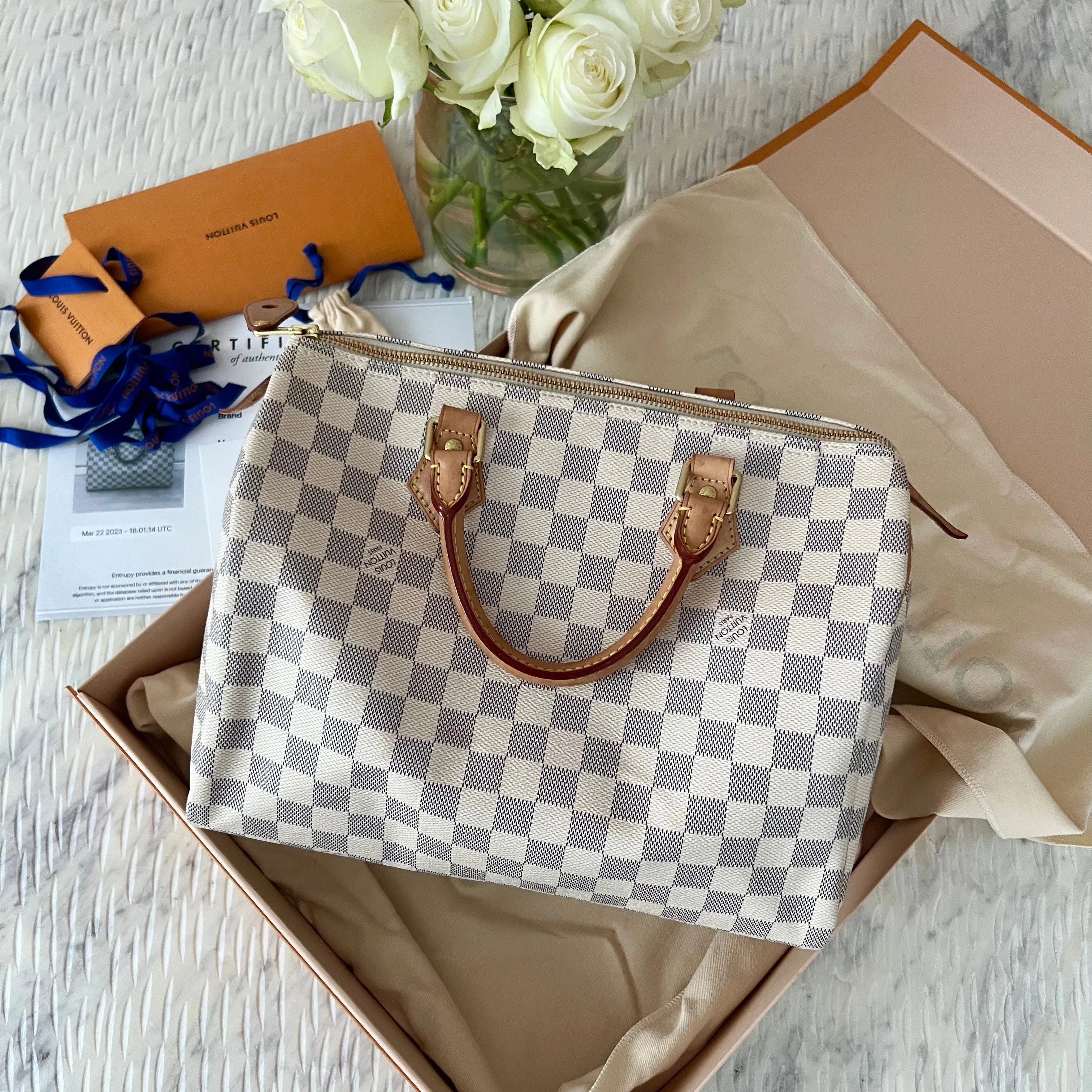 Louis Vuitton Speedy Bag