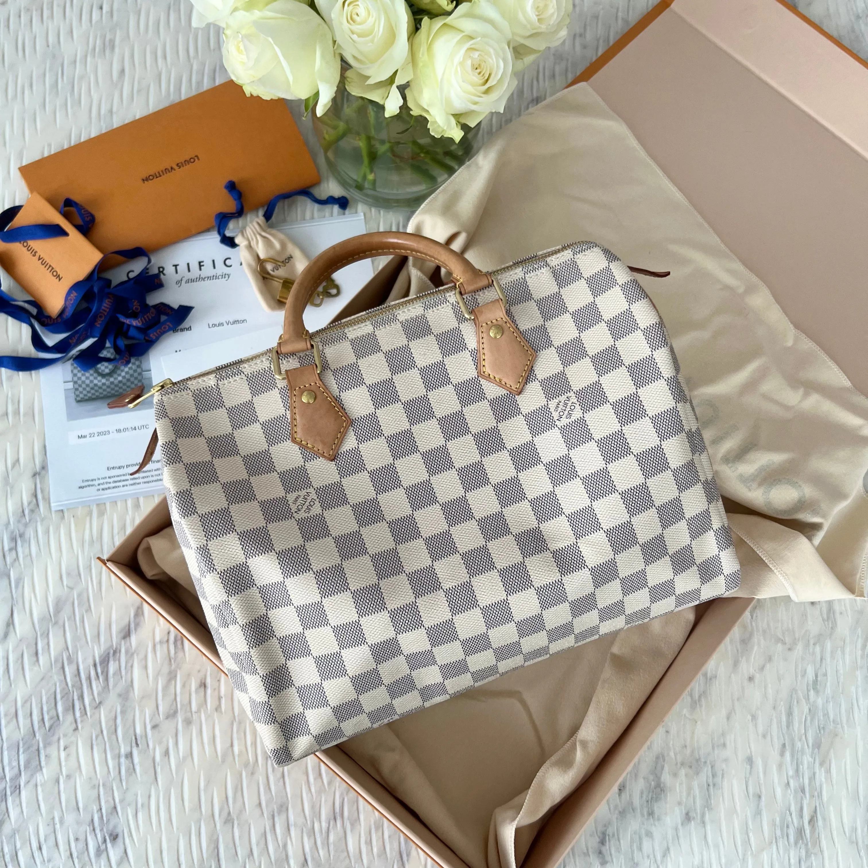 Louis Vuitton Speedy Bag