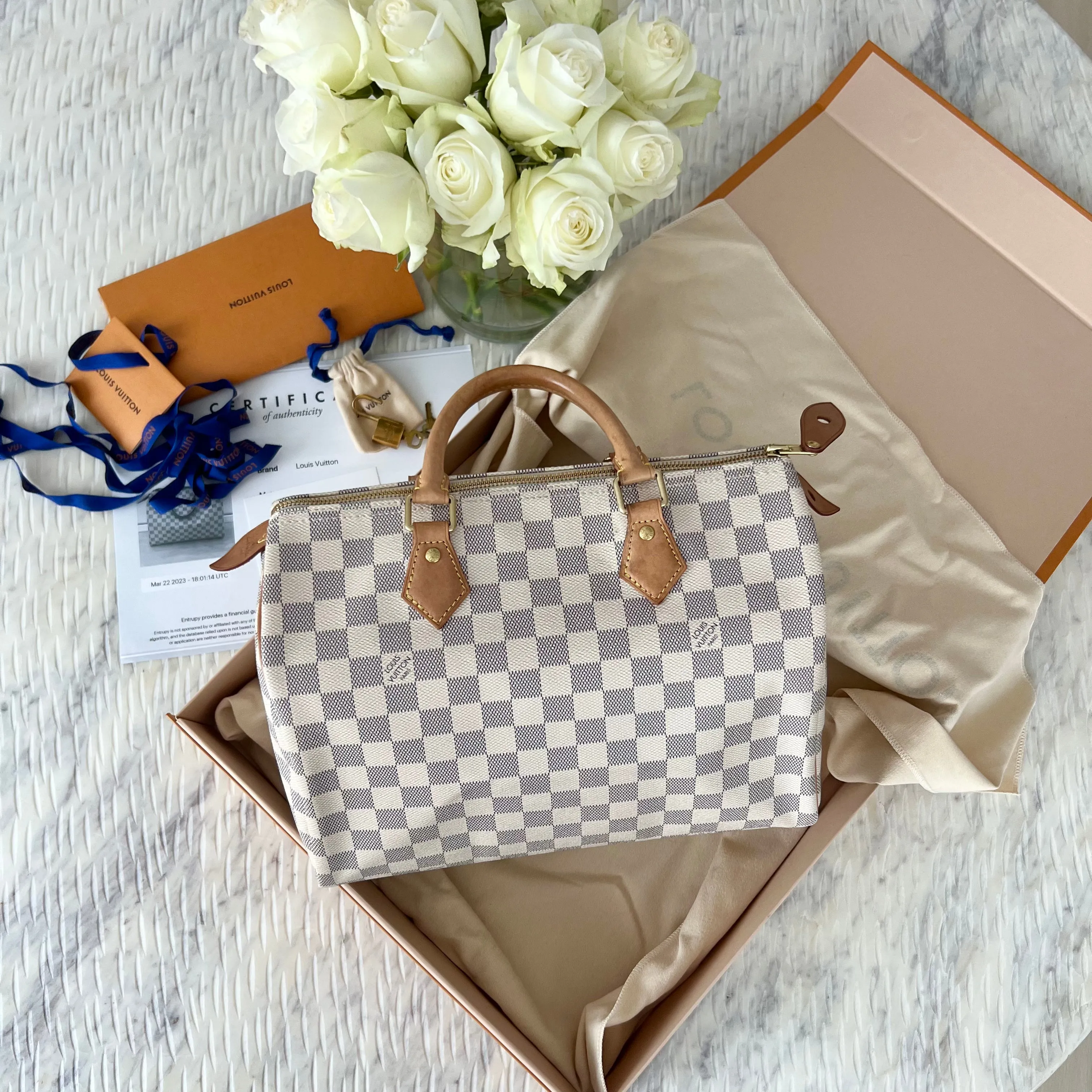 Louis Vuitton Speedy Bag