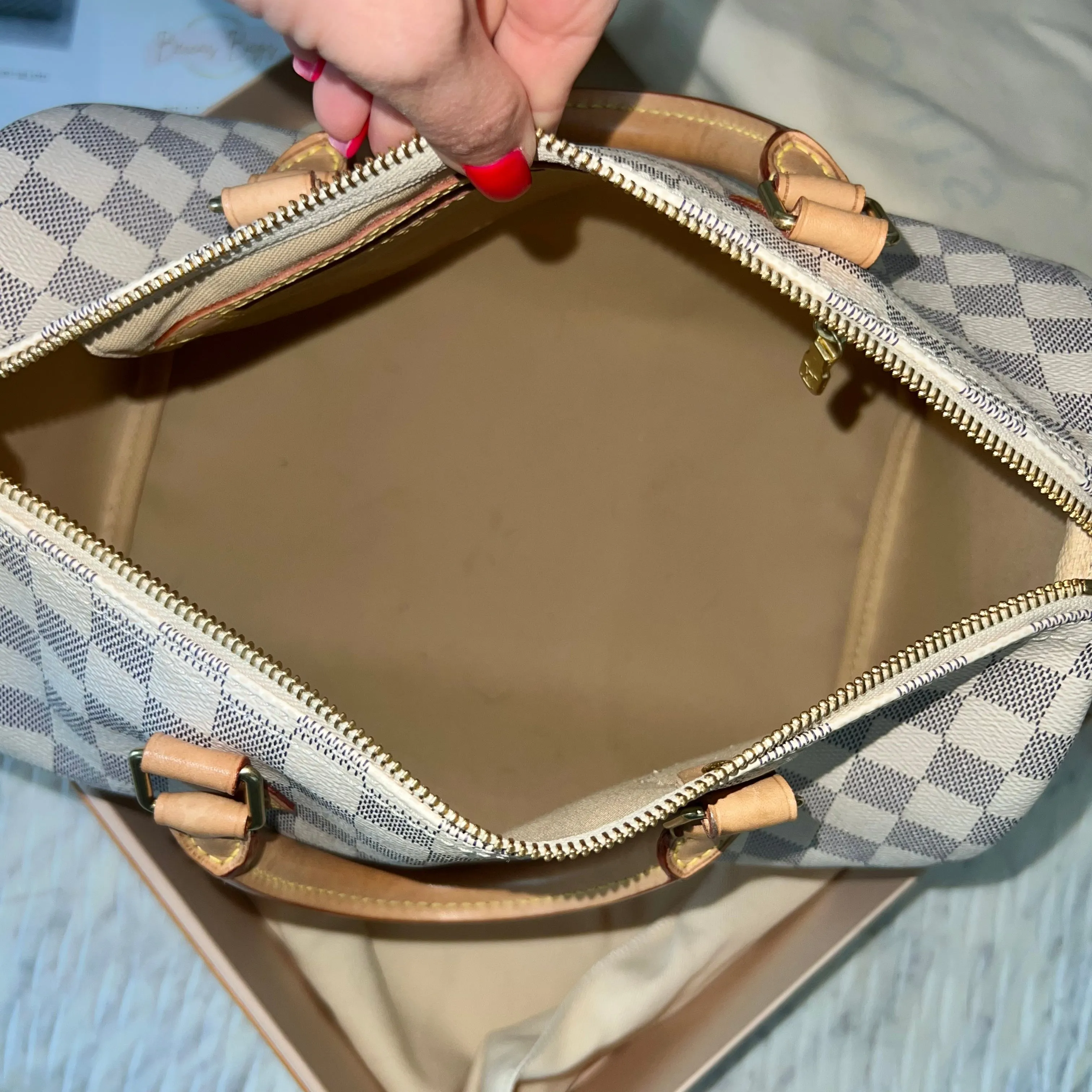 Louis Vuitton Speedy Bag